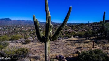 3700 Nevermind Trl #--, Carefree, AZ 85377