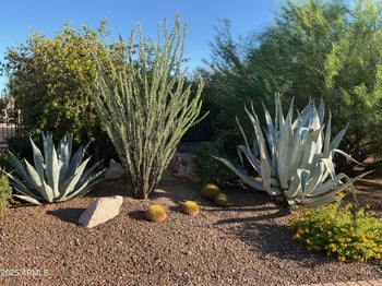 37021 Lazy Burro Rd, Carefree, AZ 85377