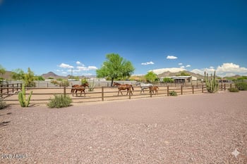 37223 22nd St, Phoenix, AZ 85086