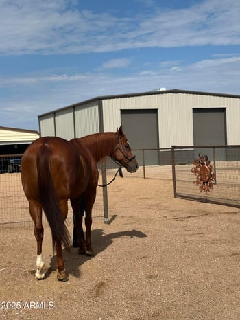 37262 Sierra Vista Dr, San Tan Valley, AZ 85140