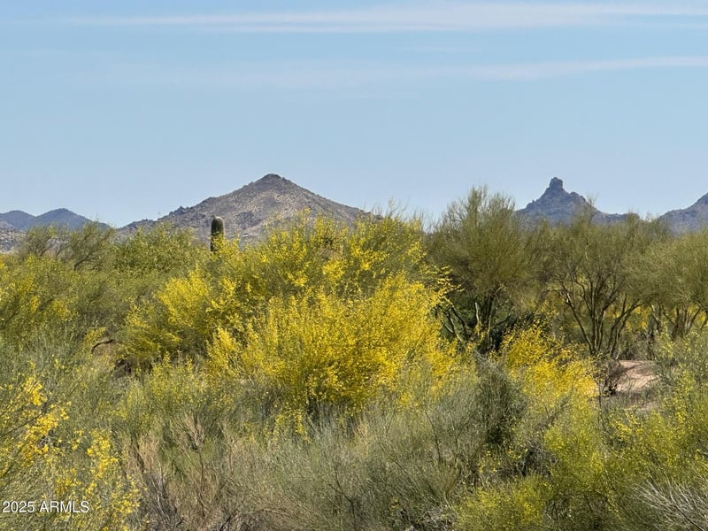 37353 105th Pl #81, Scottsdale, AZ 85262