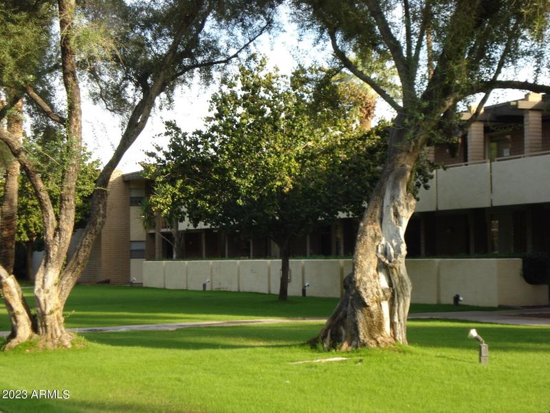 3737 E Turney Ave #114, Phoenix, AZ 85018