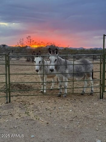 37416 240th Dr, Morristown, AZ 85342