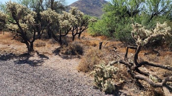 37645 Cave Creek Rd #2, Cave Creek, AZ 85331