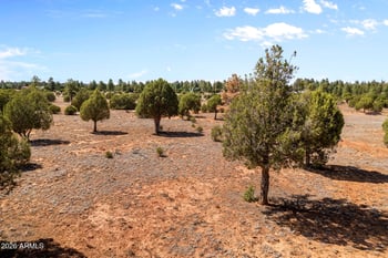 3765 Saddle Bow Rd #-, Show Low, AZ 85901