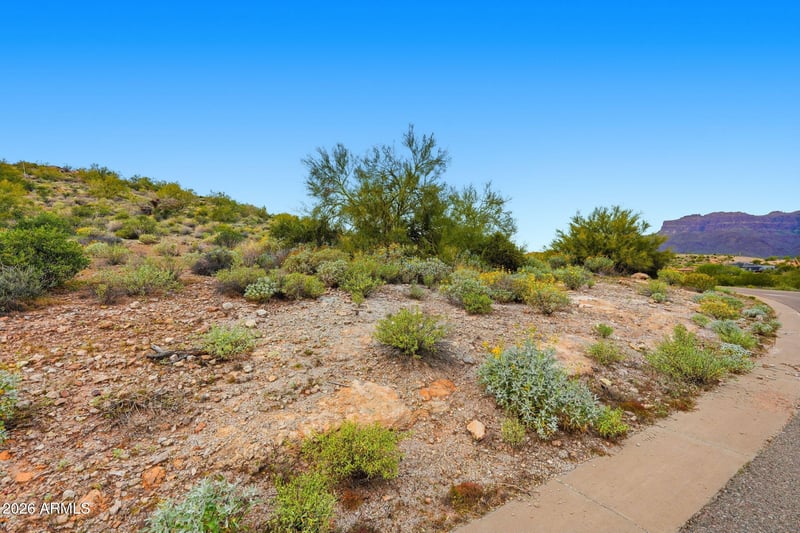 3768 Vista Loop #15, Gold Canyon, AZ 85118