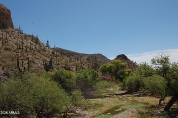 37700 Cow Creek Rd #54, Morristown, AZ 85342