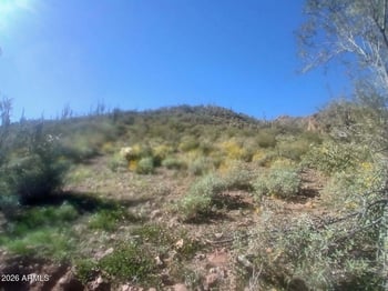 37750 Cow Creek Rd #53, Morristown, AZ 85342