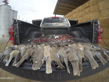 37750 Cow Creek Rd #53, Morristown, AZ 85342