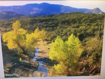 37750 Cow Creek Rd #Parcel A C D, Morristown, AZ 85342