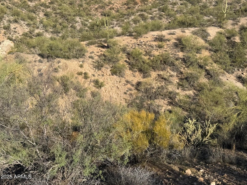 38000 Blue Tank Trl #-, Wickenburg, AZ 85390