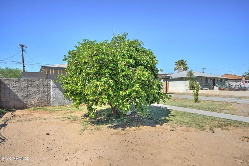 3806 N 64th Dr N, Phoenix, AZ 85033
