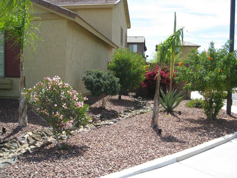 3809 E Phelps St, Gilbert, AZ 85295