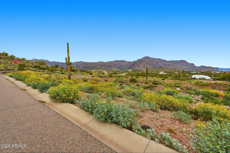 3811 Vista Loop #6, Gold Canyon, AZ 85118