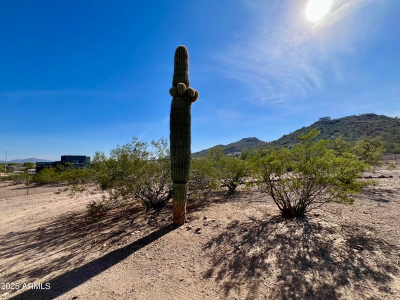 38201 33rd Ave, Phoenix, AZ 85086