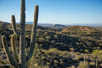 38325 102nd St, Scottsdale, AZ 85262