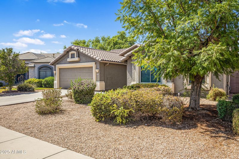 3844 E Bruce Ave, Gilbert, AZ 85234