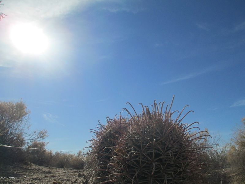 38468 W Buckeye Rd #61, Tonopah, AZ 85354