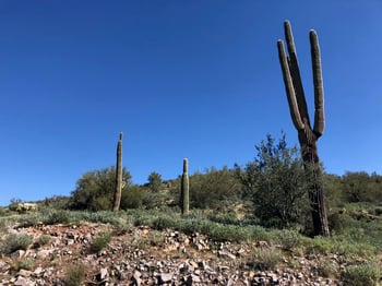 3863 Avenida De Angeles -- #103, Gold Canyon, AZ 85118