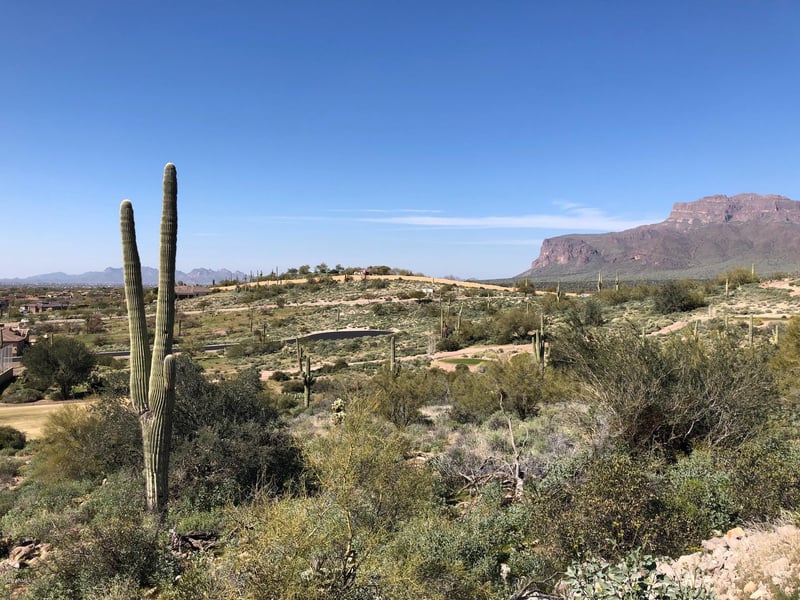 3863 Avenida De Angeles -- #103, Gold Canyon, AZ 85118