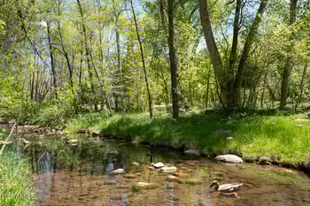 387 Columbine Rd, Payson, AZ 85541