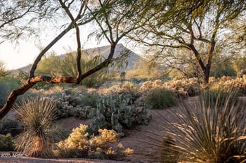 38720 104th St, Scottsdale, AZ 85262