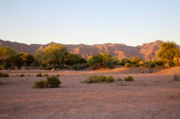 3873 Gambel Quail Way #14, Gold Canyon, AZ 85118