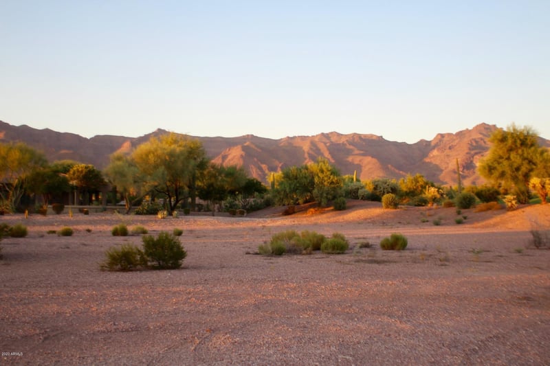 3873 Gambel Quail Way #14, Gold Canyon, AZ 85118