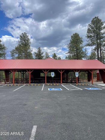 3881 Mule Skinner Loop #77, Show Low, AZ 85901