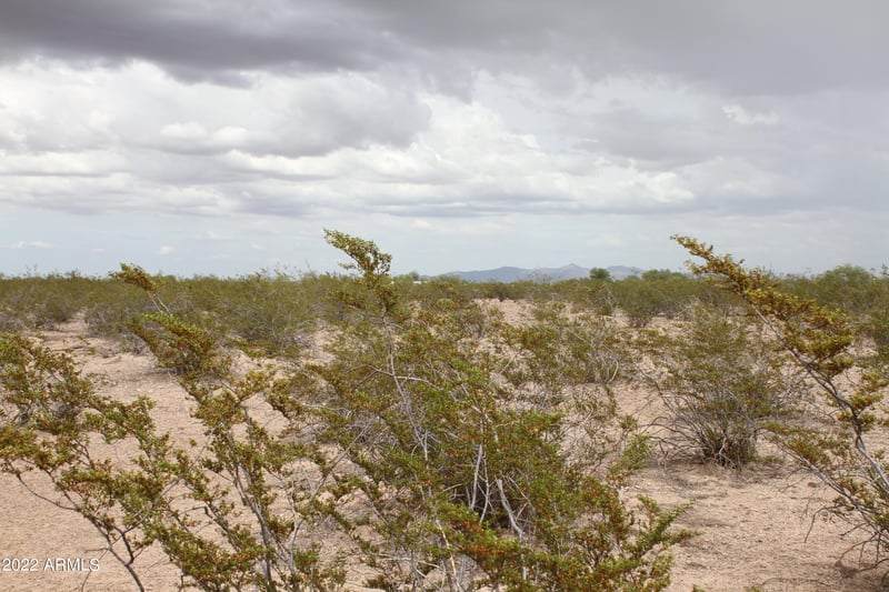 38939 Avalon Dr #1223, Tonopah, AZ 85354