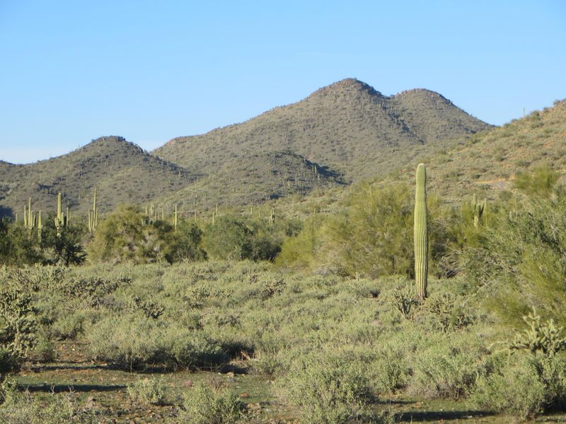 38xx E Glory Rd, Cave Creek, AZ 85331