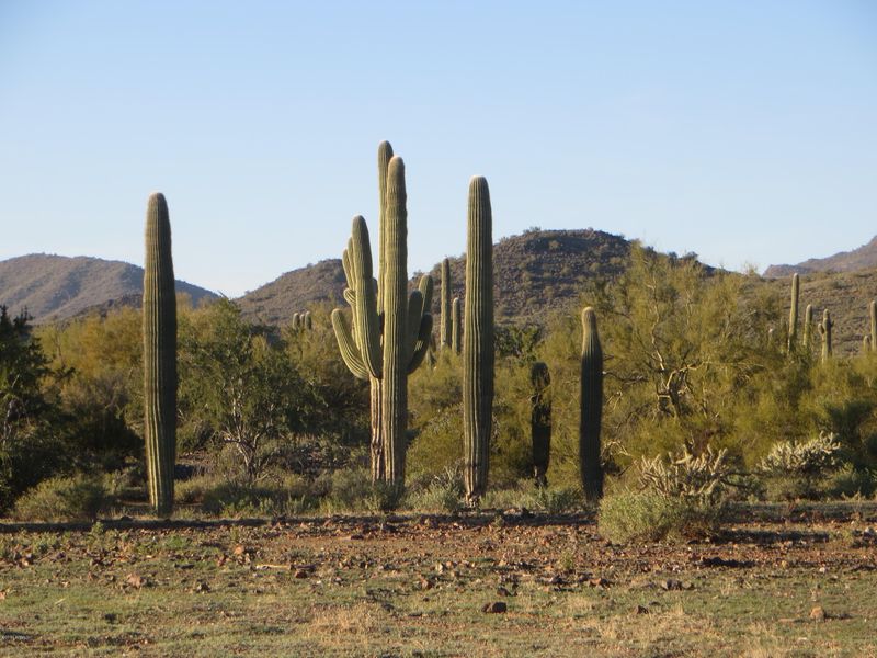38xx E Glory Rd, Cave Creek, AZ 85331