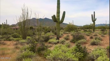 39005 Crested Quail Rn #18, Carefree, AZ 85377