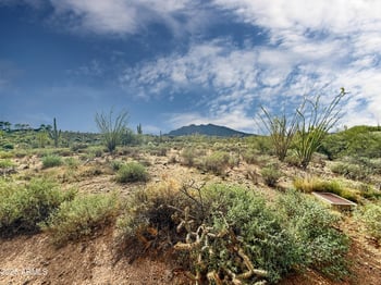 39005 Crested Quail Rn #18, Carefree, AZ 85377