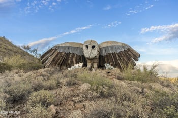 39029 Alister Mckenzie Dr, Scottsdale, AZ 85262