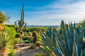 39032 101st Way, Scottsdale, AZ 85262