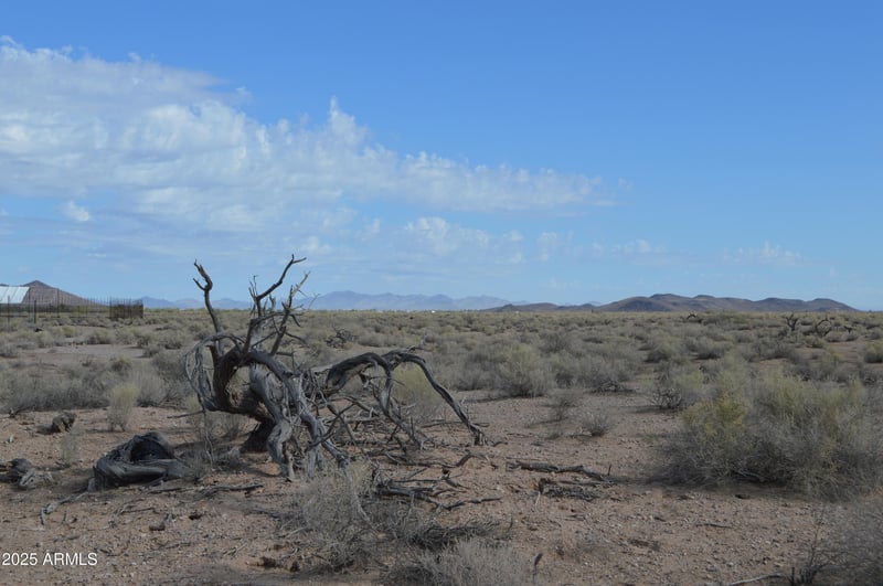 390XX Southern Ave #117, Tonopah, AZ 85354