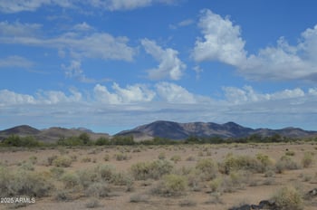 390XX Southern Ave #117, Tonopah, AZ 85354