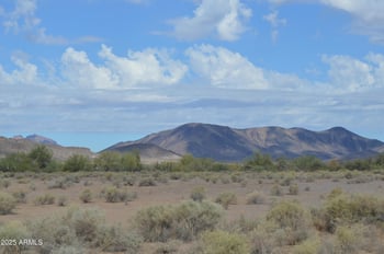 390XX Southern Ave #117, Tonopah, AZ 85354