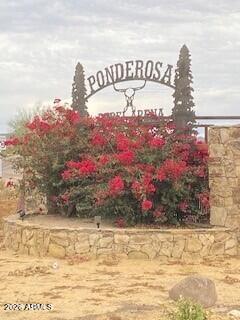 39125 25th Ave, Phoenix, AZ 85086