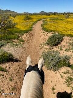 39125 25th Ave, Phoenix, AZ 85086