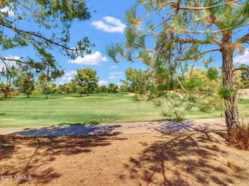 3918 Carson Rd, Phoenix, AZ 85042