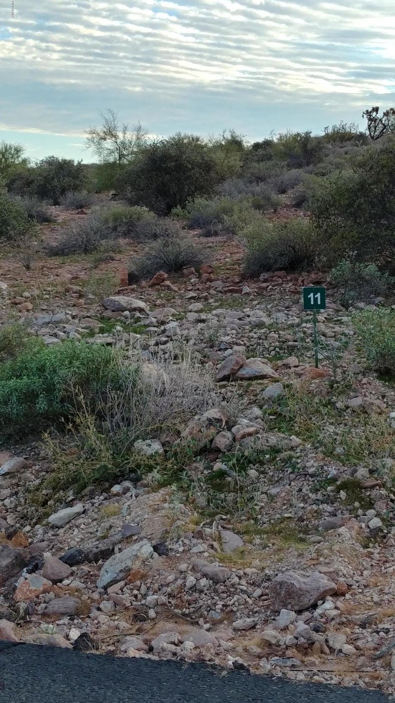 3922 S Summit Trl, Gold Canyon, AZ 85118