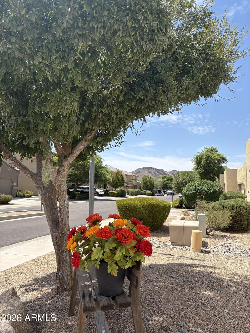 3932 W Salter Dr, Glendale, AZ 85308