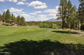 3940 Clubhouse Cir #291, Flagstaff, AZ 86005