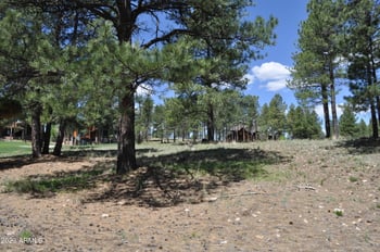 3940 Clubhouse Cir #291, Flagstaff, AZ 86005