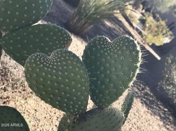 39402 Spur Cross Rd, Cave Creek, AZ 85331