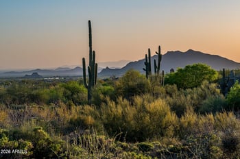 39494 N 105th St #74, Scottsdale, AZ 85262