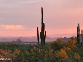 39494 N 105th St #74, Scottsdale, AZ 85262