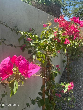 3956 Hollyhock Pl, Chandler, AZ 85248